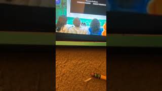 Closing To Fluffys Dog Years On Summer Of Sprout Family Movie Night