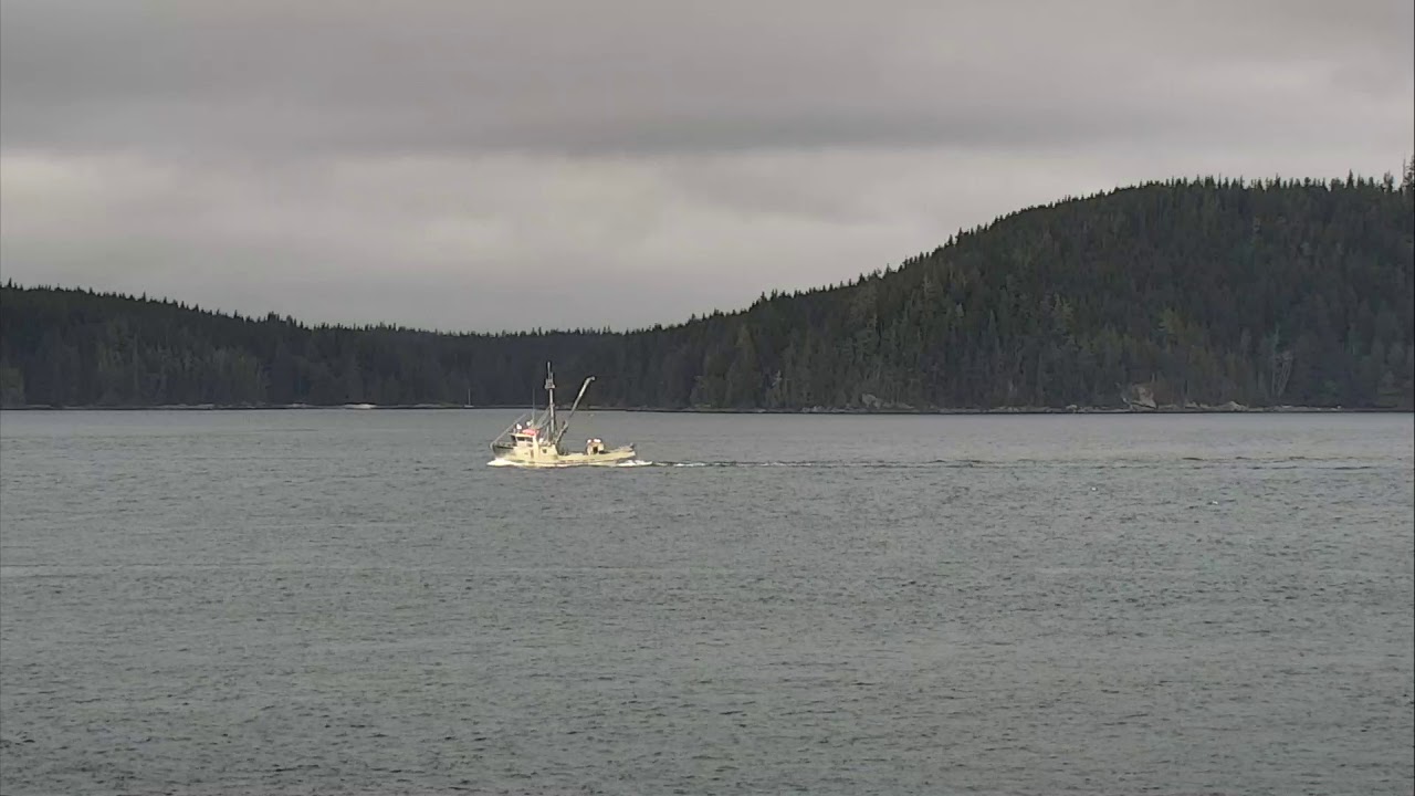 Orcalab Base Lookout Cam 08222018 162418 172419 YouTube