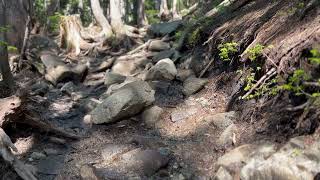St  Marks Summit Hike POV ASMR