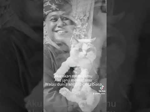 Kamu Adalah cover