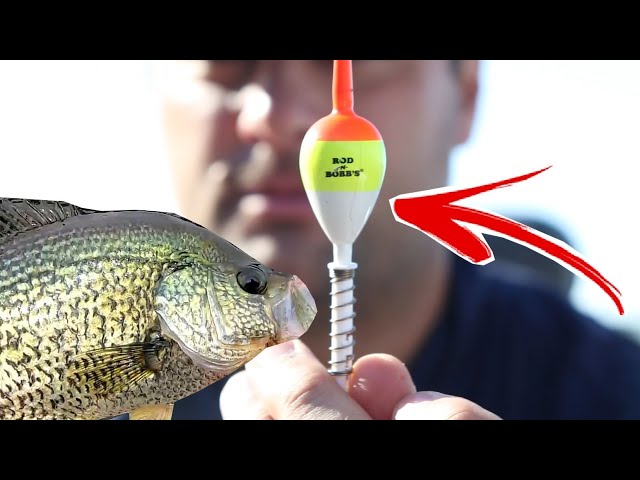 Simple Slip Bobber and Live minnow rig for fall crappie (30 day challenge  ep. 12) 