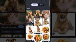 AI Pet Emotions Detector Flutter App #flutterapp #flutter #aipetemotions #aiapp #ai #mobileapp