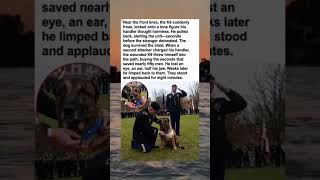 The K9 Who Saved His Unit The K9 Who Saved His Unit