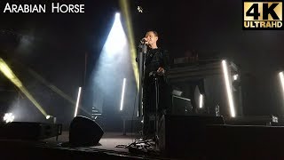 Gus Gus - Arabian Horse, 5 nov 2018, Nizhniy Novgorod, Russia, Milo Concert Hall, Нижний Новгород