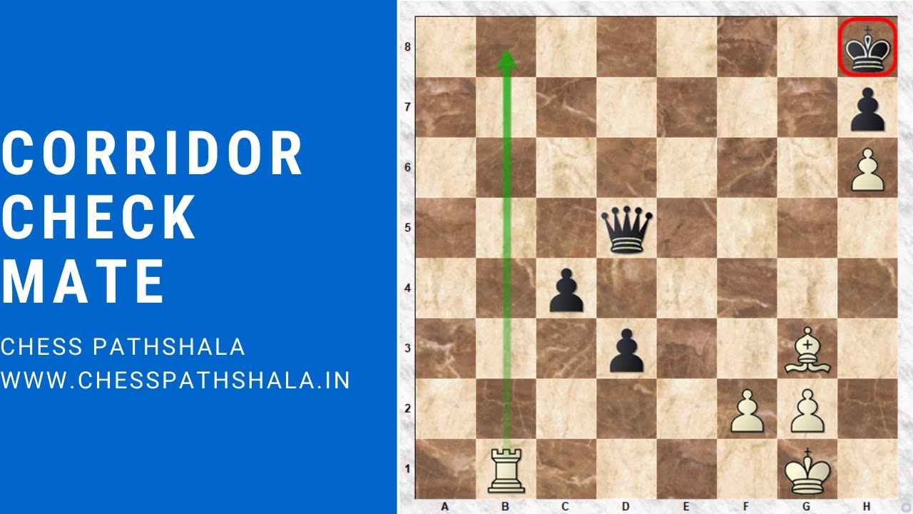 Corridor CheckMate 101