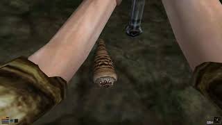 Morrowind.exe