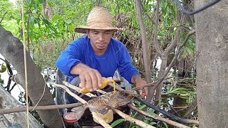 Assando PIRANHA PRETA em CIMA do CAPIM em Árvore no AMAZONAS