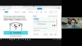 Famous Golang (programming language) .... Debugging, Googling Solutions To Coding  - - -  PART ONE Wealth