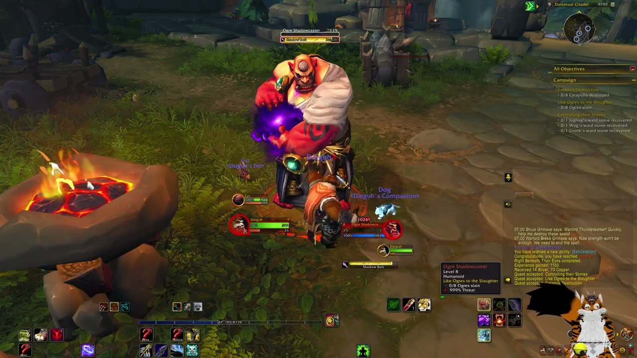 World of Warcraft Retail [#4]: Forced to Dragon island I guess