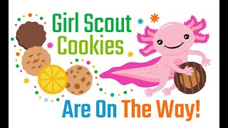 2024 Cookie Training for Volunteers @ Girl Scouts of Silver Sage