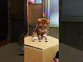#рек #рекомендации #қазақстан #fun #прикол #tiktok #trend #funny #tiktokvideo #video
