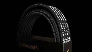CONTINENTAL CTAM 3PK762 ELAST Cinghia Poly-V per FORD