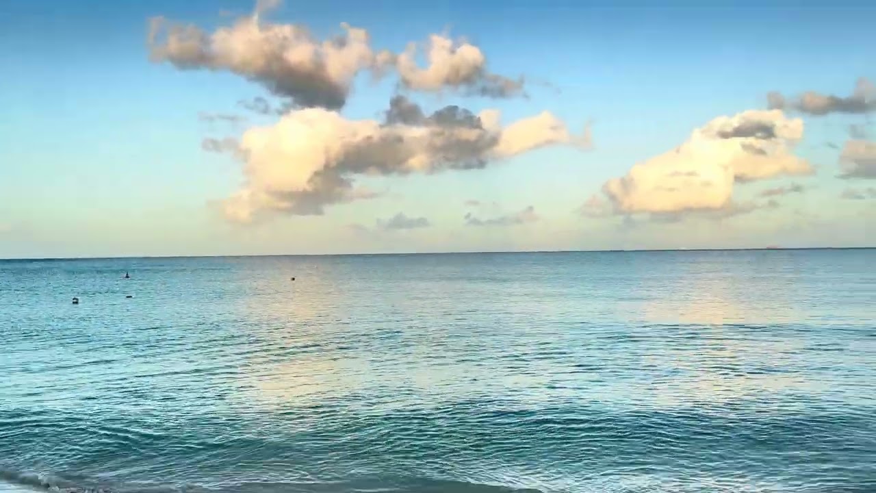 📍Eagle beach, Aruba around Fofoti tree 