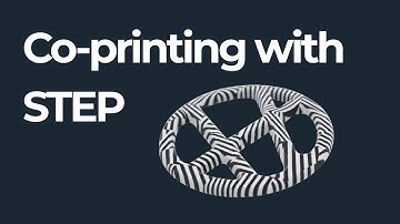 Co-printing with STEP