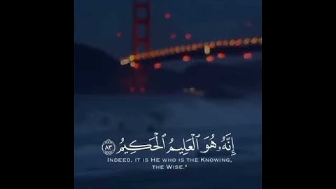 أرح سمعك🌼✨حالات واتس اب🌼✨قران كريم🌼✨هيثم الدخين🌼✨مقاطع دينية قصيرة