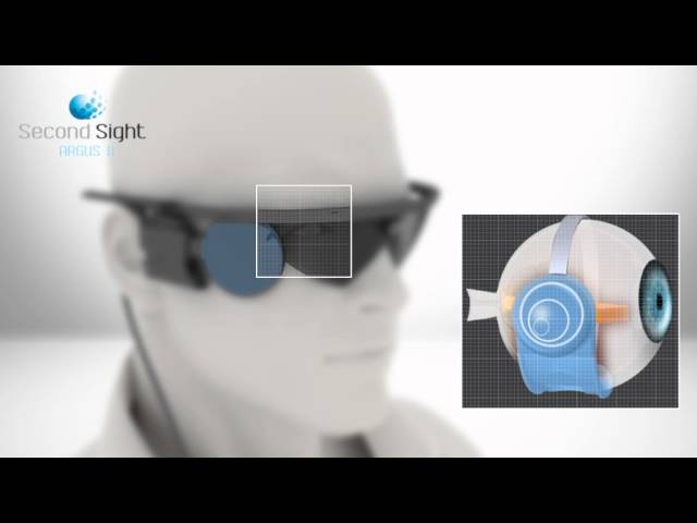 Neuralink Илона Маска: зачем он хочет чипировать людей?. Имплантаты глаз и ушей.. Фото.