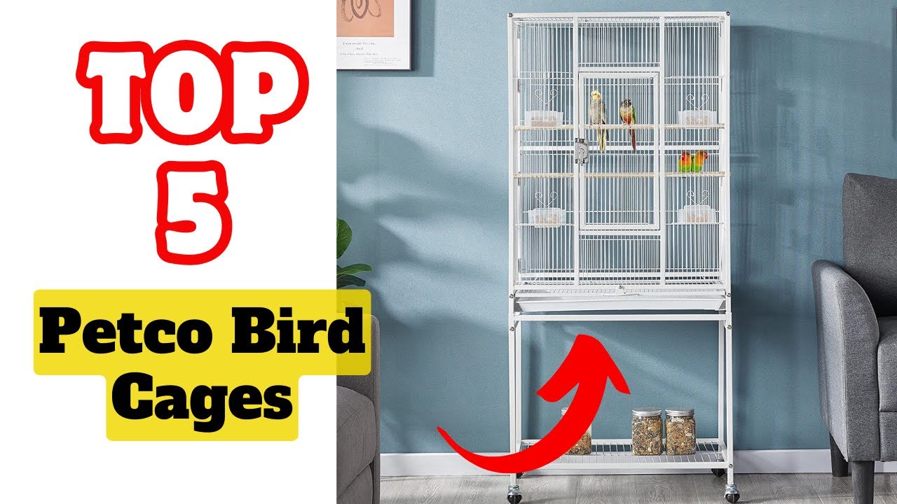 Best Petco Bird Cages on Market 2024 !! What Cage is BEST for Budgies