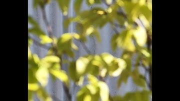 How AI Detects Cracks on Concrete in Cluttered Scenes | SwissInspect