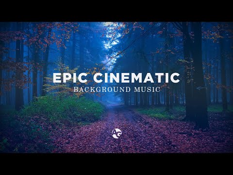 Epic Cinematic Fantasy Music | Through the Forest - Music by Azure Glitch
