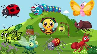 The Insects Song | Sing Song Poems | Fun Learning for Kids
