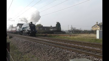 60007 Sir Nigel Gresley Cathedrals Express 29/3/2014