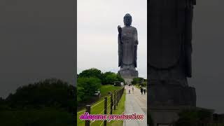 Buddha in Japan🙏🙏🙏