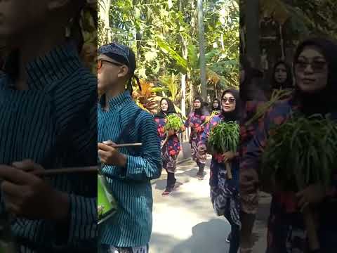 Kirab Merti Dusun BORO 2 Karangsewu Galur