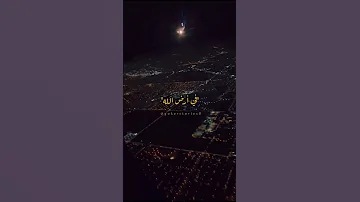 غريب الحي والغربة ليالي طوال 