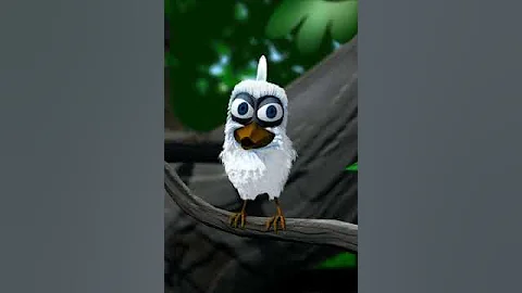 crazy lil birdy