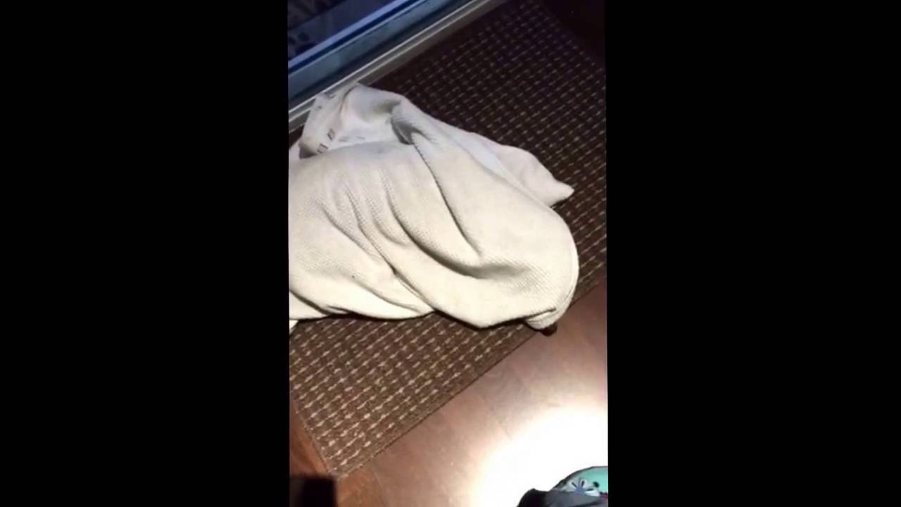 STUCK IN A BLANKET!!!!!! YouTube