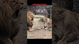 The Lion King Proves Why He Rules