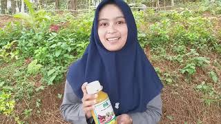 Apa Kata Neng Cantik