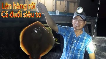 fishing/câu được cá đuối siêu to ở biển Gò Công Tiền Giang