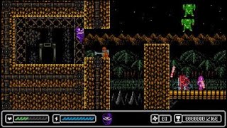 Ninja 1987 Bug Report 2 Wall Stuck (PS4)