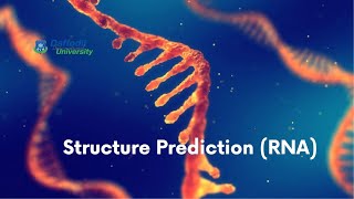 Presentation of Structure Prediction (RNA)