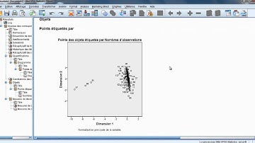 Formation SPSS : Analyse en Correspondance Multiple (ACM)