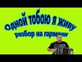 Одной тобою я живу разбор на гармони в тональности До мажор