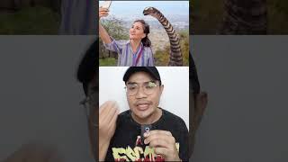 What Would Happen If Dinosaurs Didnt Go Extinct shorts