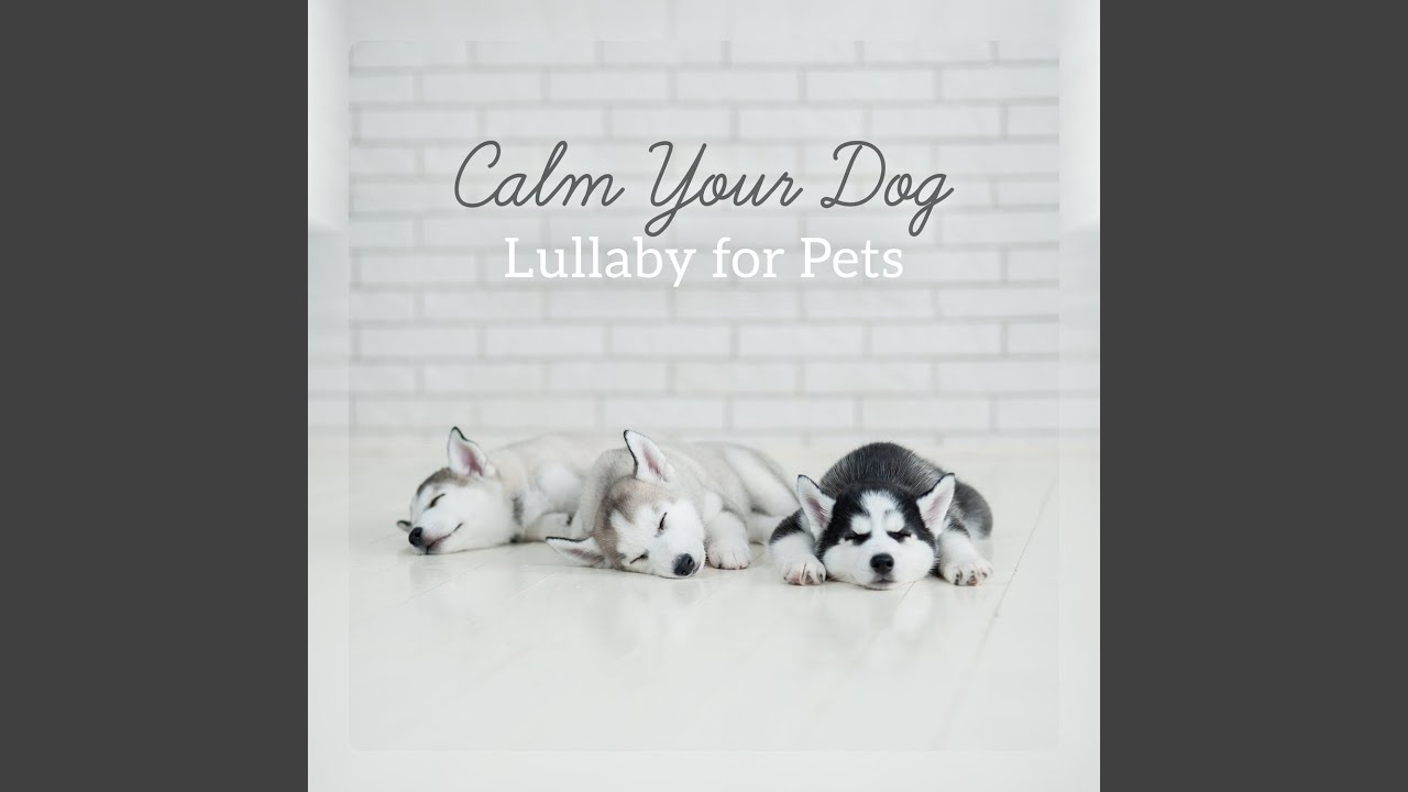 Soothing Piano for Pleasure