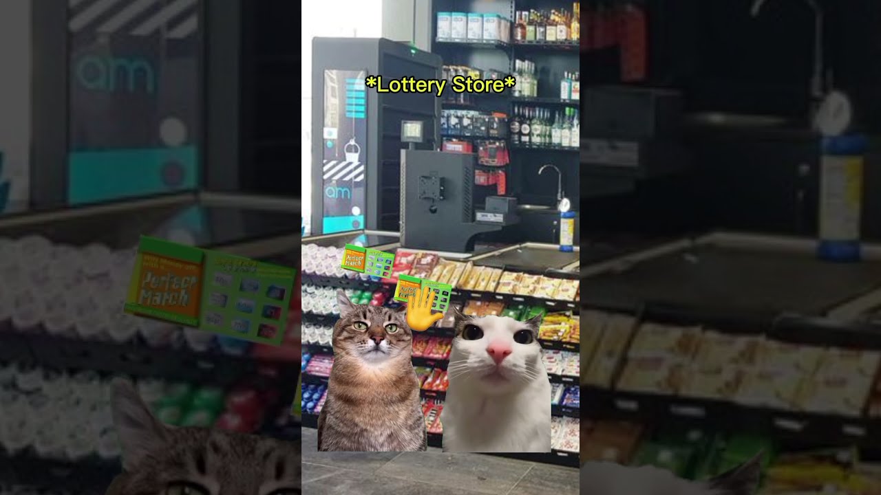CAT MEMES You Have Superpowers Catmemes Relatable Shorts