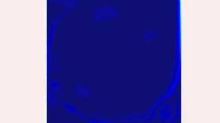 Lid driven cavity flow (Re=20000) [vorticity]