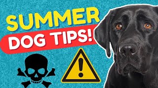 WAG BALEWALAIN NGAYONG TAG-INIT - 10 Dog TIPS, #8 Will Shock You by Munting Kennel 1,724 views 1 year ago 5 minutes, 1 second