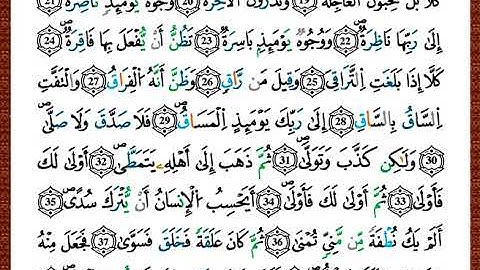 ختمة مصحف التجويد برواية قالون الصفحة رقم 578