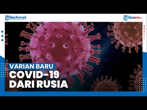Video: Virus Raksasa Baru Telah Ditemukan - Pandangan Alternatif