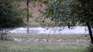 Dash Away All.wmv