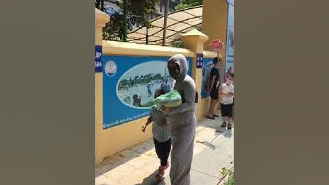 Con yêu khai giảng Trường Tiểu Học Suối Hoa