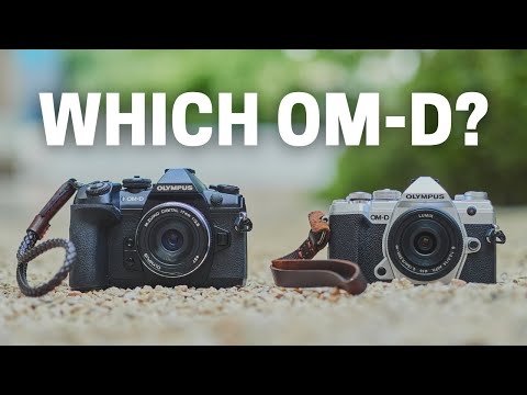 Olympus E-M1 Mark II Vs E-M5 Mark III - Which Is Better?