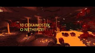 10 ciekawostek o netherze w minecraft!