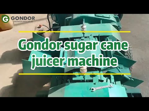 Gondor Sugar Cane Crusher Machine - Efficient & Powerful Sugarcane Juicing System #fruitprocessing thumbnail