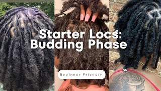 Budding Stage of Locs: What to Expect + Tips for New Growth 🌱